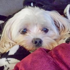 Meet your Posher, Claudia